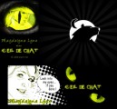 oeil_chat